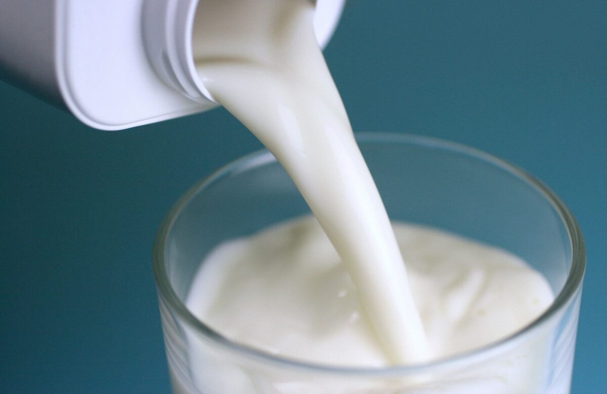 Preţul laptelui înregistrează în continuare reduceri medii de 20%