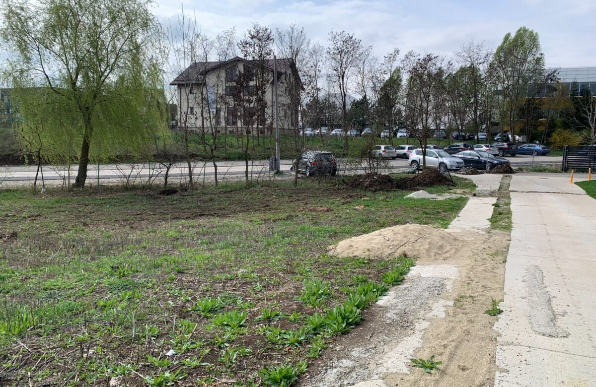 Raiul imobiliarelor nu este nici București, nici Cluj, nici Iași. Comuna care le dă flit
