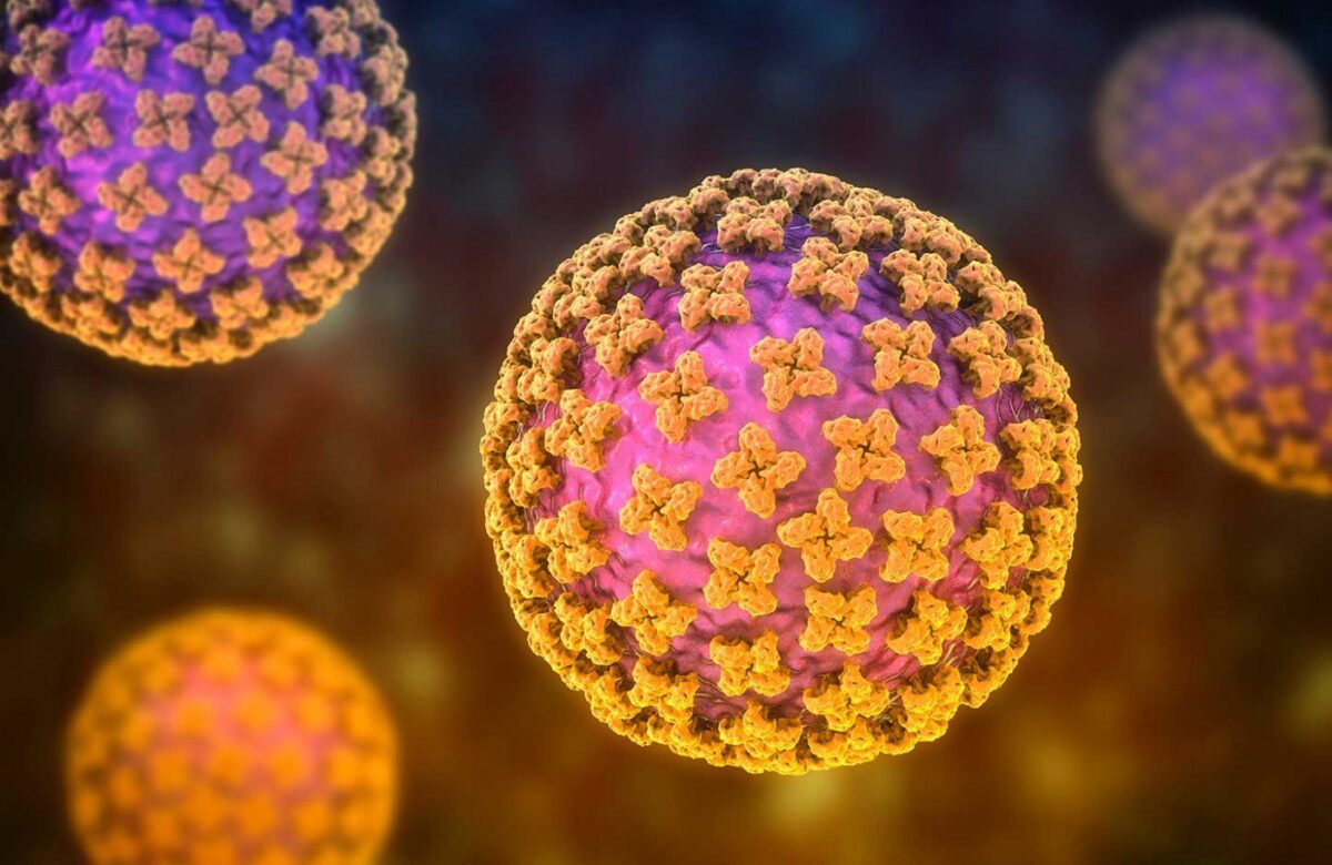 Suspiciune de Hantavirus în România. Ce spune dr. Marinescu (Matei Balș): „Autoritățile ar trebui să ne scape de rozătoare, în primul rând”