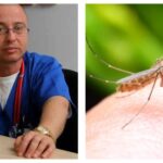 Trei cazuri de infecție cu virusul West Nile, unul mortal. Avertisment: „Nu neglijați înțepăturile de țânțari”
