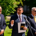 Opoziție totală sau „melonizare”. Opțiunile aflate pe masa lui George Simion: „Timpul lucrează în favoarea lor”