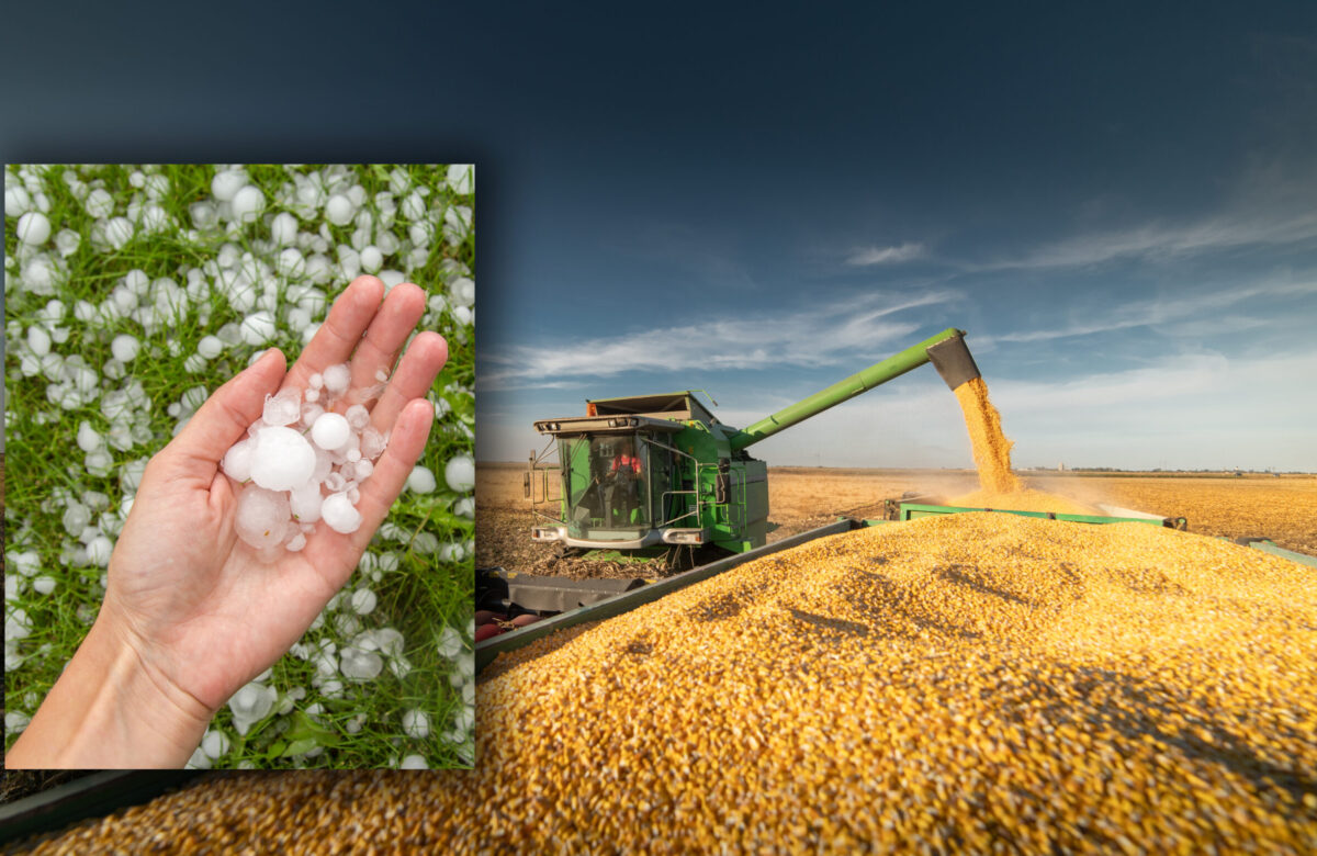Criza politică blochează agricultura. În timp ce România este traversată de un episod de furtuni, sistemul antigrindină rămâne nefuncțional