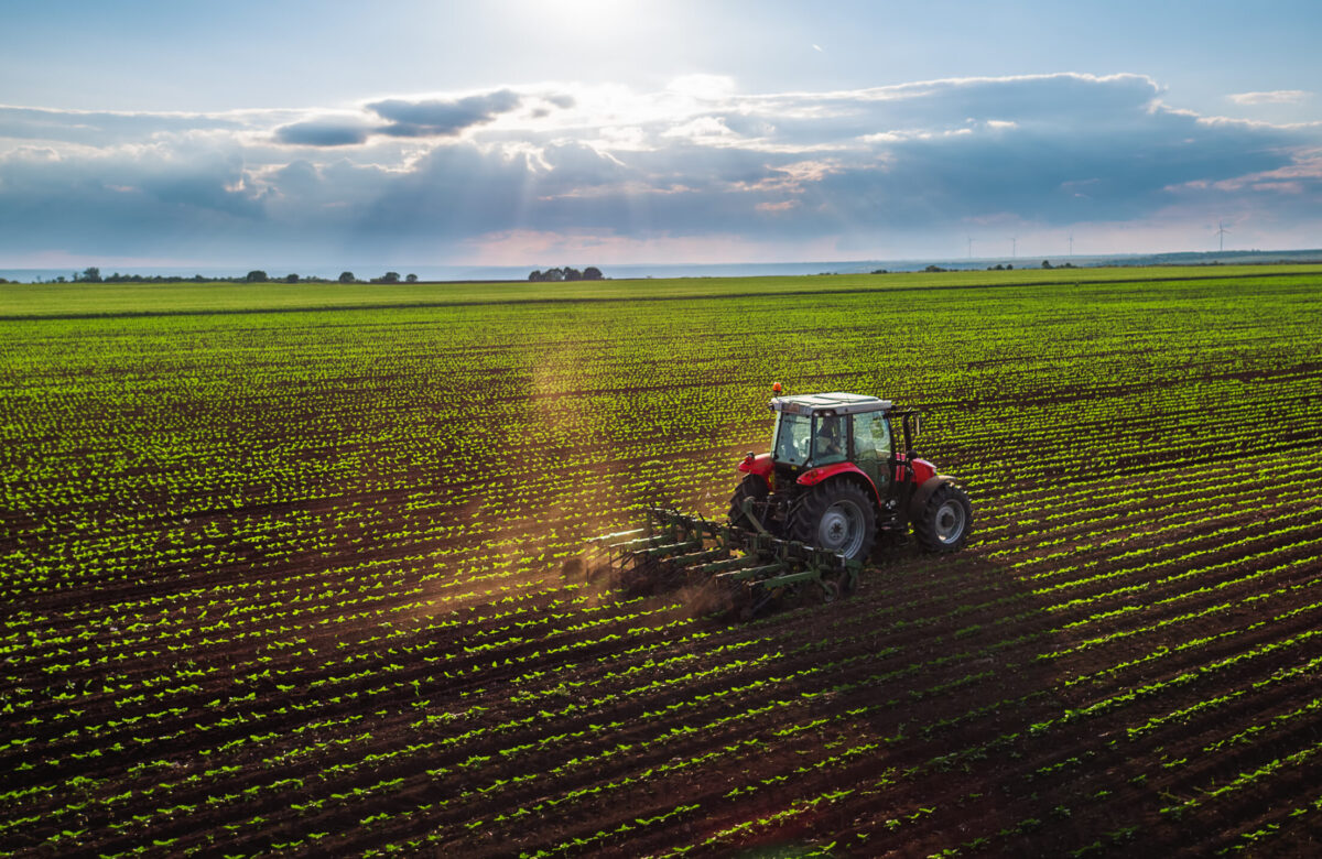 Se schimbă legea pentru motorina din agricultură. Cum vor putea fermierii să cumpere combustibil