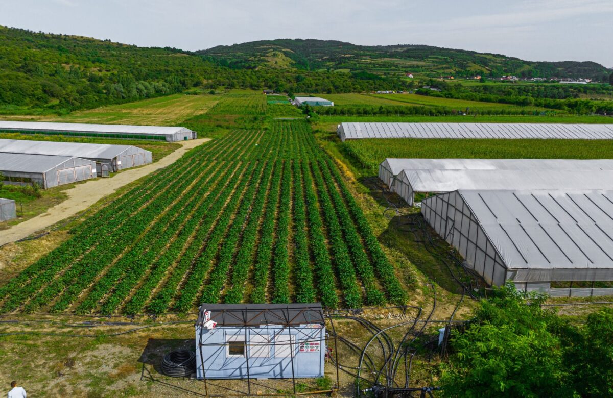 Ghidul AFIR de 50.000 de euro