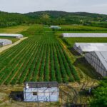 Ghidul AFIR de 50.000 de euro
